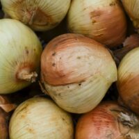 Cebola Orgânica (Kg)