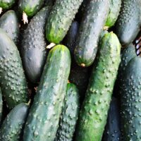 Pepino Agroecológico (kg)