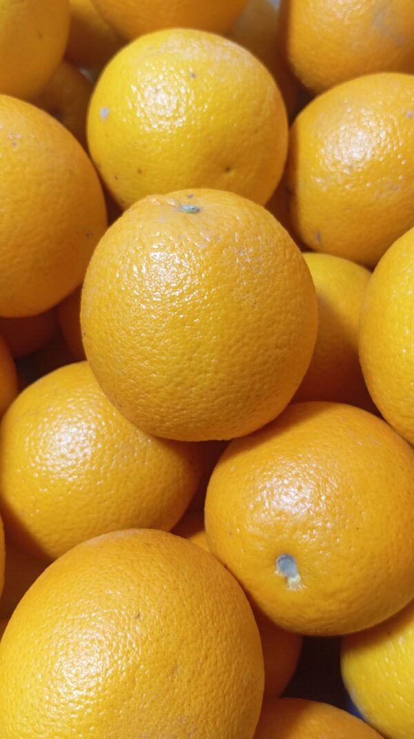 Laranja Pera ou Baia (kg)